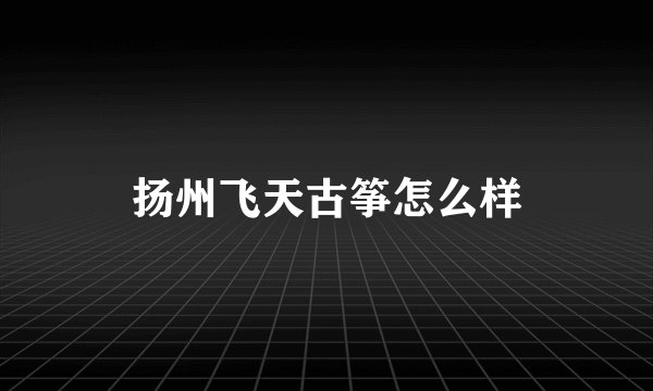 扬州飞天古筝怎么样