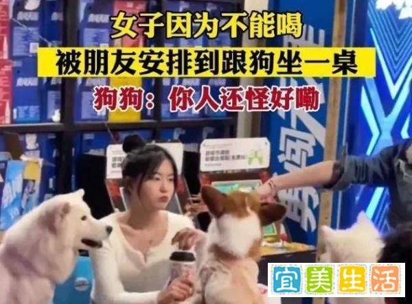 女子武汉坐高铁满车人都在啃鸭脖，女子不能喝酒被安排和狗一桌