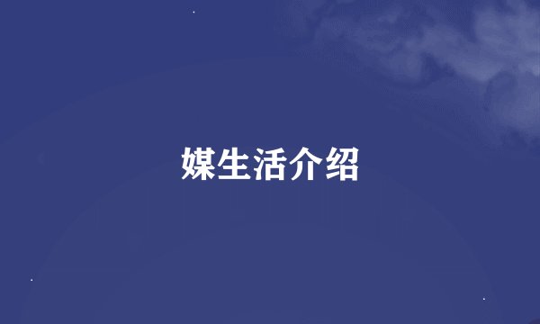 媒生活介绍