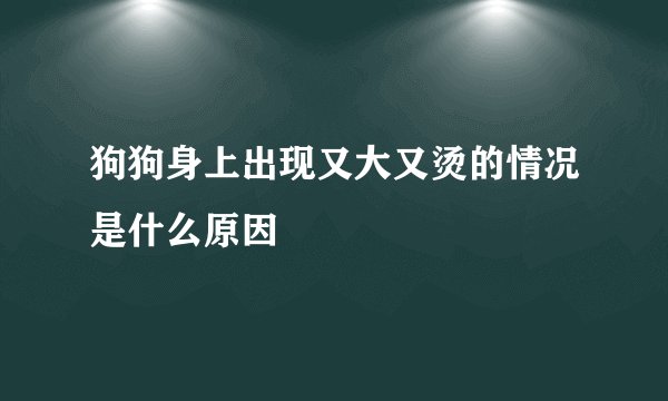 狗狗身上出现又大又烫的情况是什么原因