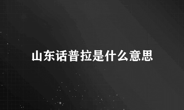 山东话普拉是什么意思