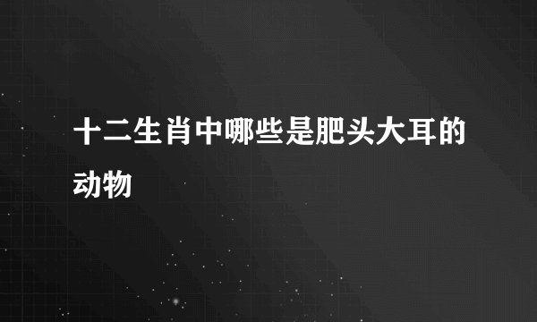 十二生肖中哪些是肥头大耳的动物