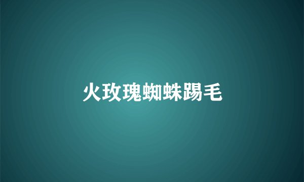 火玫瑰蜘蛛踢毛