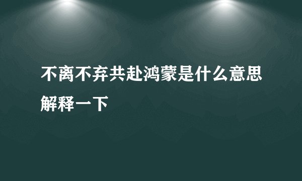 不离不弃共赴鸿蒙是什么意思解释一下