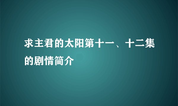 求主君的太阳第十一、十二集的剧情简介