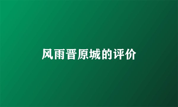 风雨晋原城的评价
