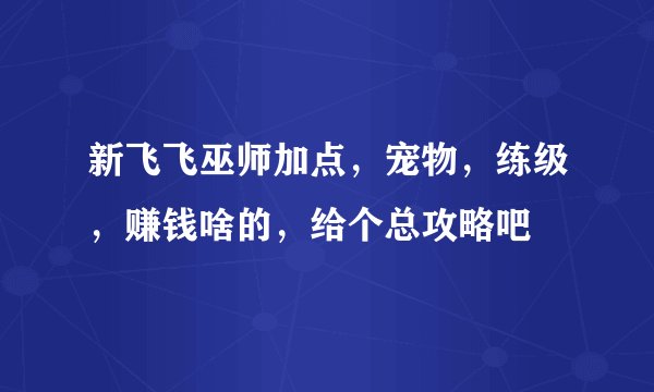 新飞飞巫师加点，宠物，练级，赚钱啥的，给个总攻略吧