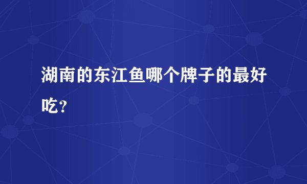 湖南的东江鱼哪个牌子的最好吃？