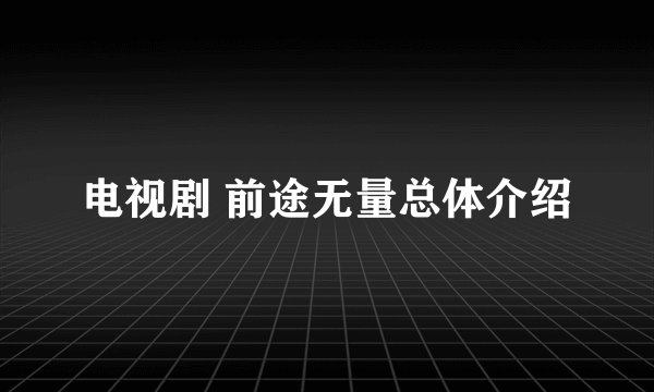 电视剧 前途无量总体介绍