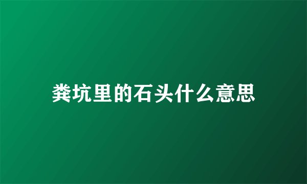 粪坑里的石头什么意思