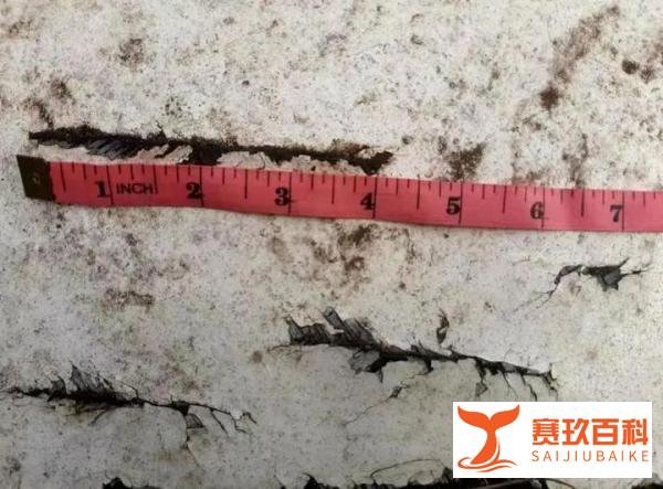 MH370关键碎片曾被渔民当做洗衣板 这是咋情况？