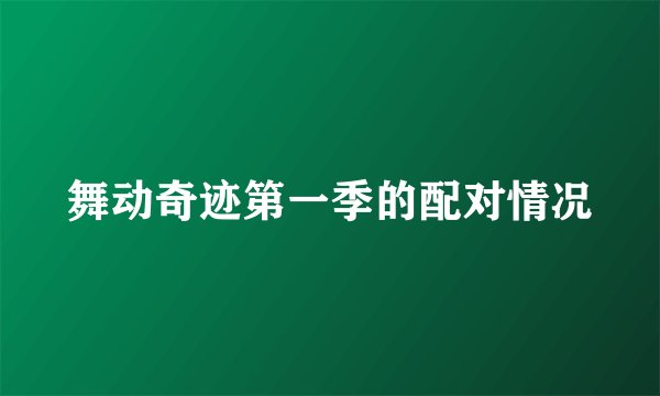 舞动奇迹第一季的配对情况