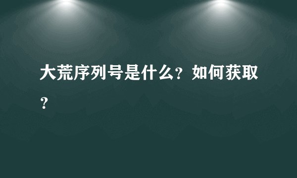 大荒序列号是什么？如何获取？
