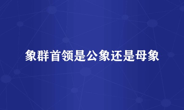 象群首领是公象还是母象