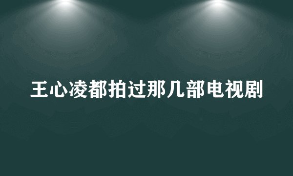 王心凌都拍过那几部电视剧
