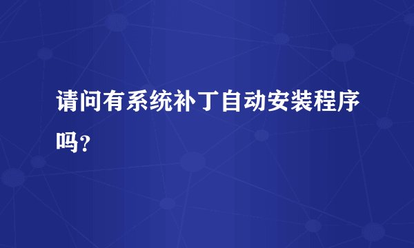 请问有系统补丁自动安装程序吗？