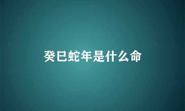 癸巳蛇年是什么命