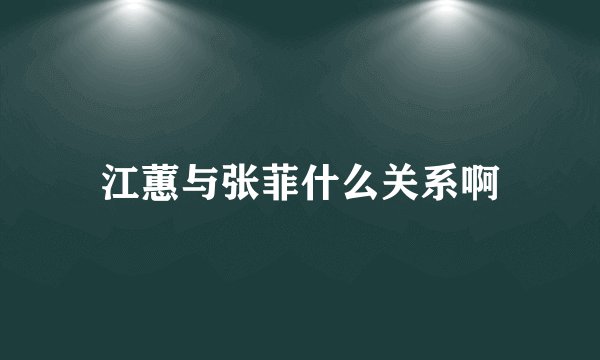 江蕙与张菲什么关系啊
