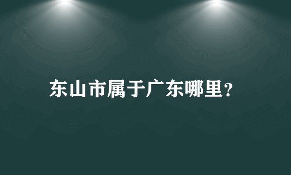 东山市属于广东哪里？