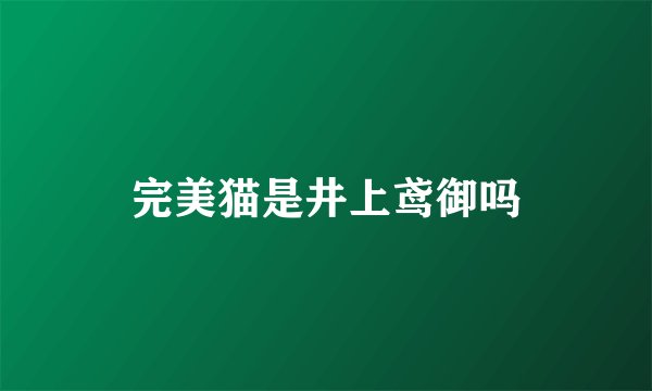 完美猫是井上鸢御吗