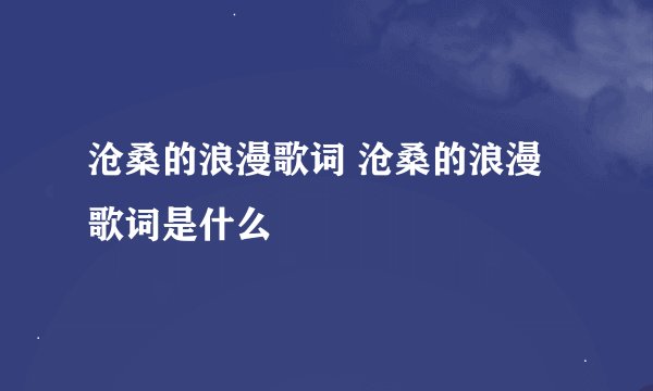 沧桑的浪漫歌词 沧桑的浪漫歌词是什么