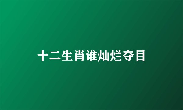 十二生肖谁灿烂夺目
