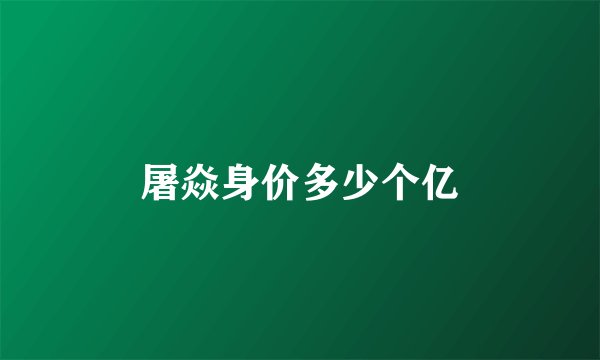 屠焱身价多少个亿