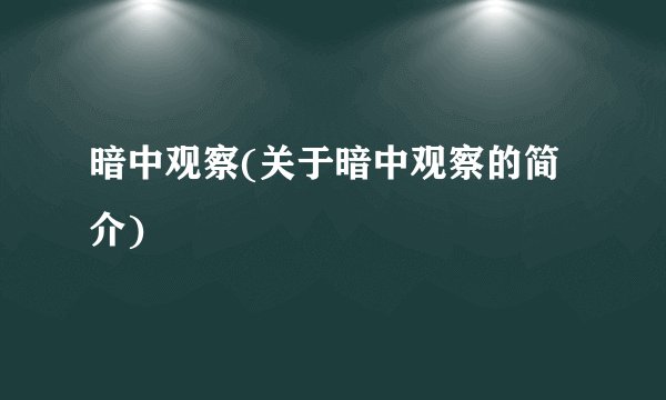 暗中观察(关于暗中观察的简介)
