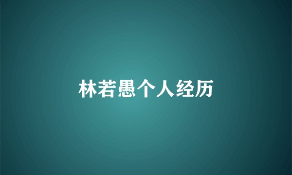 林若愚个人经历