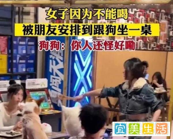 女子武汉坐高铁满车人都在啃鸭脖，女子不能喝酒被安排和狗一桌