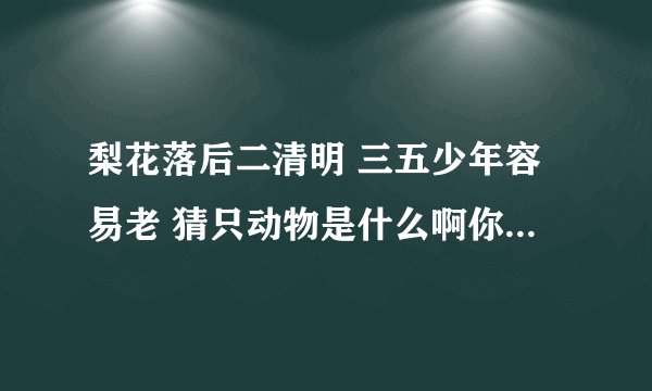 梨花落后二清明 三五少年容易老 猜只动物是什么啊你知道吗?