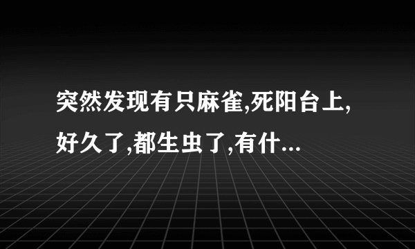 突然发现有只麻雀,死阳台上,好久了,都生虫了,有什么预兆吗?