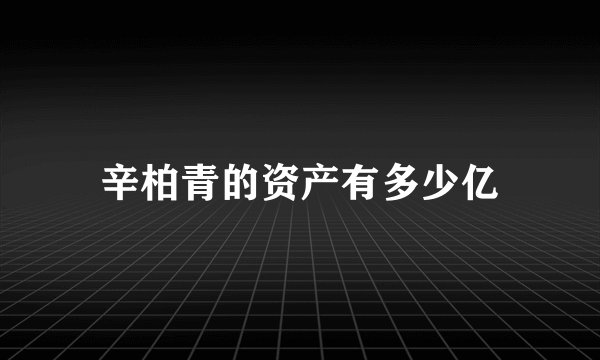 辛柏青的资产有多少亿