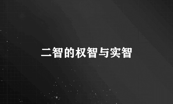 二智的权智与实智