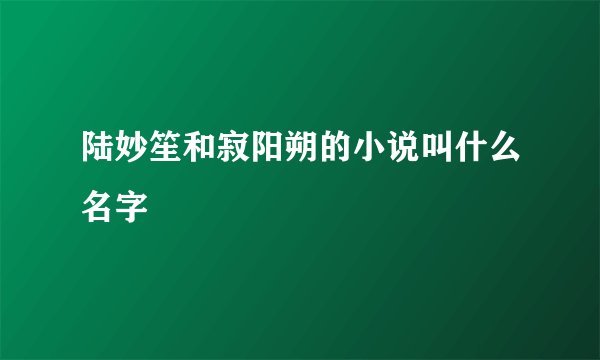 陆妙笙和寂阳朔的小说叫什么名字