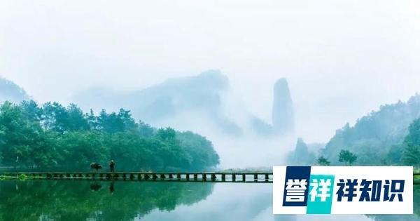 中药价格疯长的深层次原因