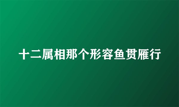 十二属相那个形容鱼贯雁行
