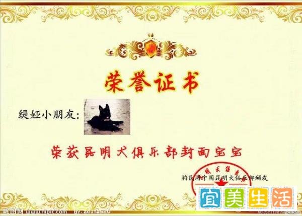 永远的帅妞光明(媞娅)