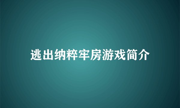 逃出纳粹牢房游戏简介