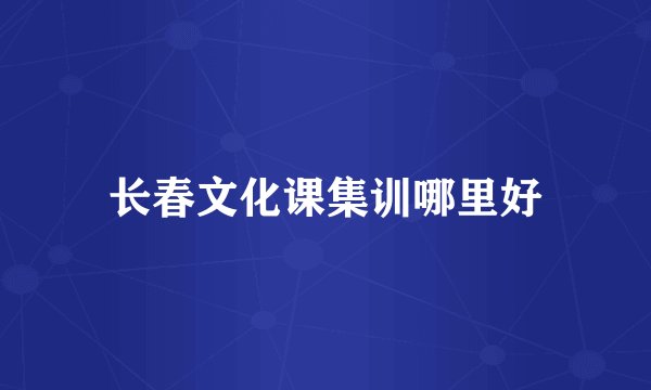 长春文化课集训哪里好