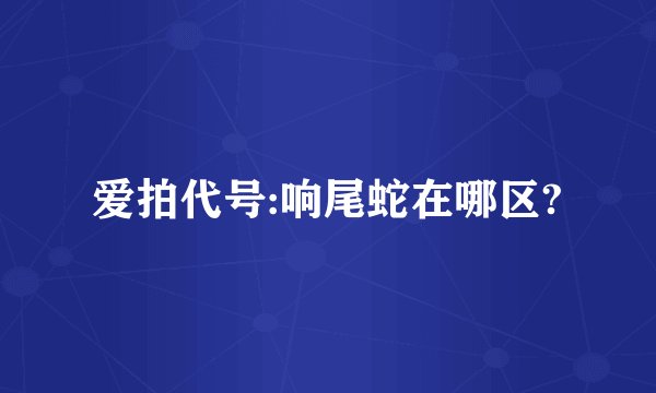 爱拍代号:响尾蛇在哪区?