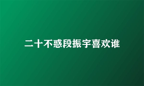 二十不惑段振宇喜欢谁