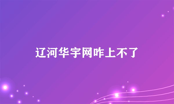辽河华宇网咋上不了