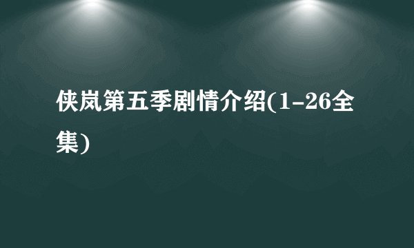 侠岚第五季剧情介绍(1-26全集)