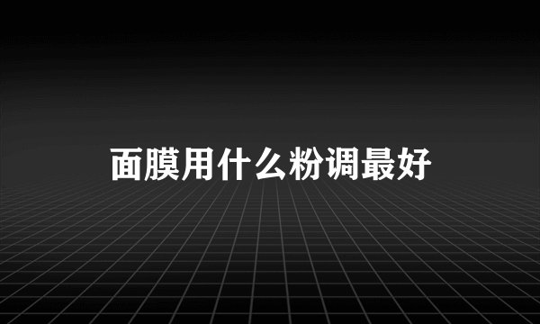 面膜用什么粉调最好