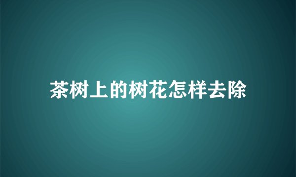 茶树上的树花怎样去除
