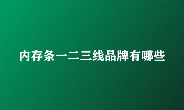 内存条一二三线品牌有哪些