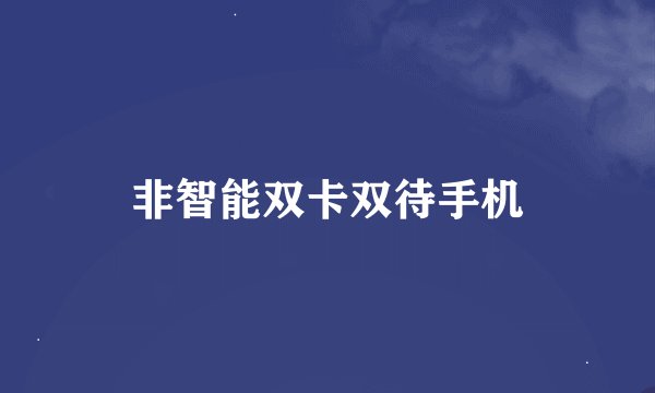 非智能双卡双待手机