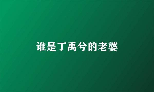 谁是丁禹兮的老婆