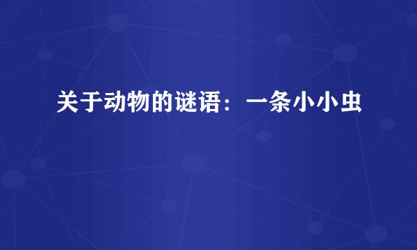 关于动物的谜语：一条小小虫